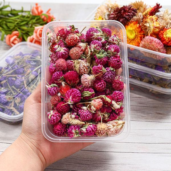 

1 box real dried flower resin mold fillings uv expoxy flower for epoxy resin molds jewelry making craft diy supplies accessories bbybjz