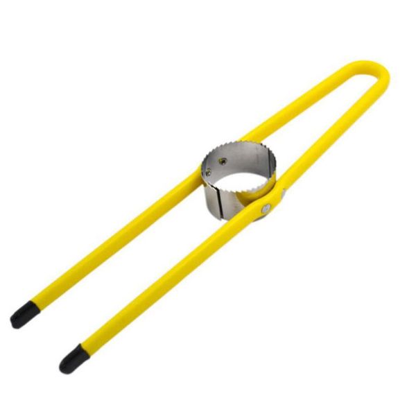 

овощи из нержавеющей стали овощи кукурузы corers tools remover кукурузниковый инструмент для кухни кухонный инструмент кухонные кукурузные м