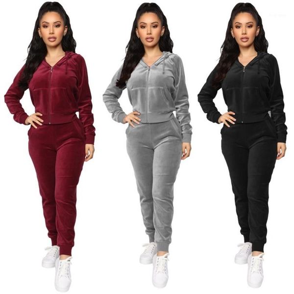 

european american fashion velvet hooded zipper sweater elastic waist pants two sets chandal mujer winter casual trousers suit1, White