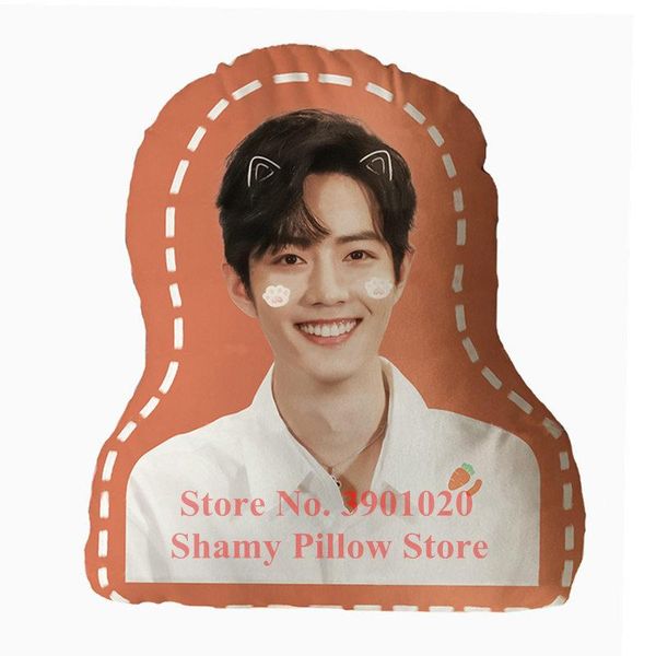 

cartoon pillow girl the untamed pillow xiaozhan wang yibo custom pillows