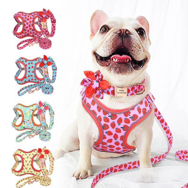 

custom printed dog collar leash set personalized pet dog collar harnesses walking leash for medium large dogs french bbyvlr