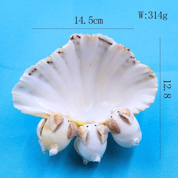 

natural scallop seashell clam crafts soap holder beach wedding decorations aquarium landscape decor shells for jewelry making h jllwad