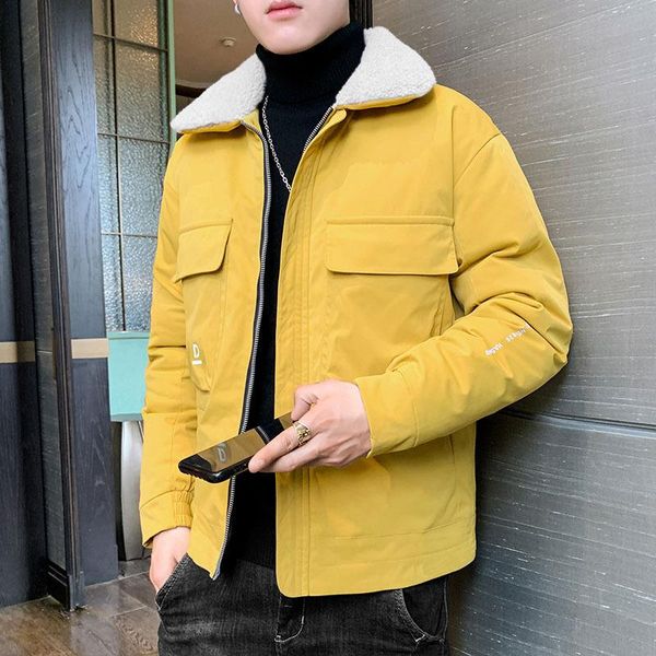 

men's thick fur collar tooling jacket youth korean fashion simple lapel thick coat korean style men clothes, Black;brown