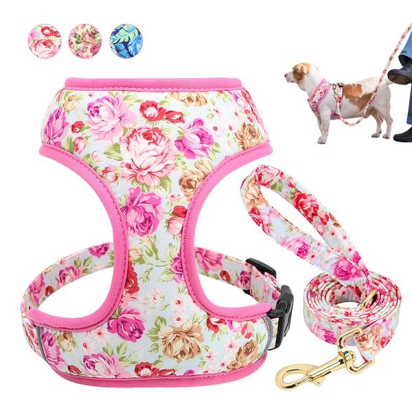 

cute printed dog harness leash set soft mesh pet puppy cat harness adjustable walking lead for small medium dogs cats c bbydbi