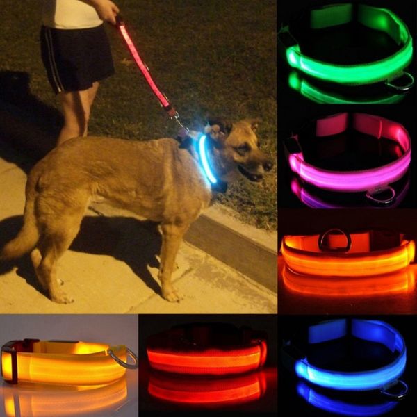 

flashing nylon night led safety collar glow in the dark dog leash dogs luminous fluorescent collars pet supplies