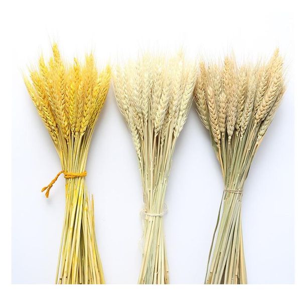 

настоящее пшеничное ухо оформление цветов натуральный пампас кролик хвост трава высушенные цветы для свадебной вечеринки diy ремесло записок