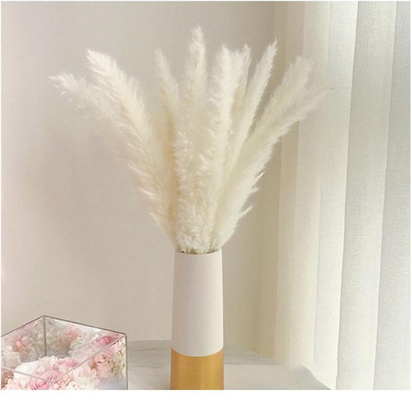 

bulrrush натуральные высушенные цветы искусственные растения флаффикулярные красочные попуги пампас трава фрагмиты поддельные цветочные свад