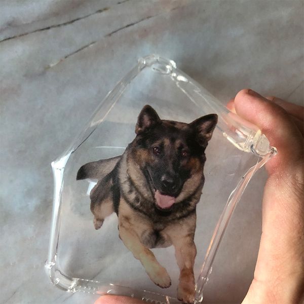 

samsung s20 phone case iphone 11 pro max xs xr 8 plus samsung s20 tpu protective shockproof uv print pet dog