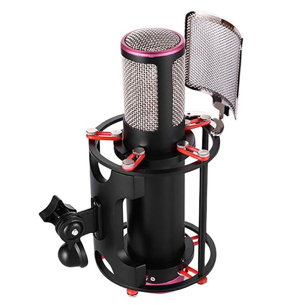 

recording large film condenser microphone computer network karaoke microphone