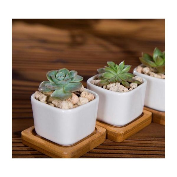 

144pcs moq ceramic succulent pots wholesale hexagon square mini white porcelain flowerpots suppliers for wedding wmtwpz homes2007