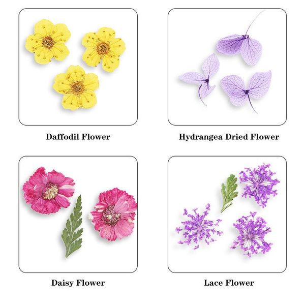 

1 коробка реальных высушенных цветов нажимает цветки сухие растения для эпоксидной смолы кулон ожерелье эпоксидная смола поставляет ремесло