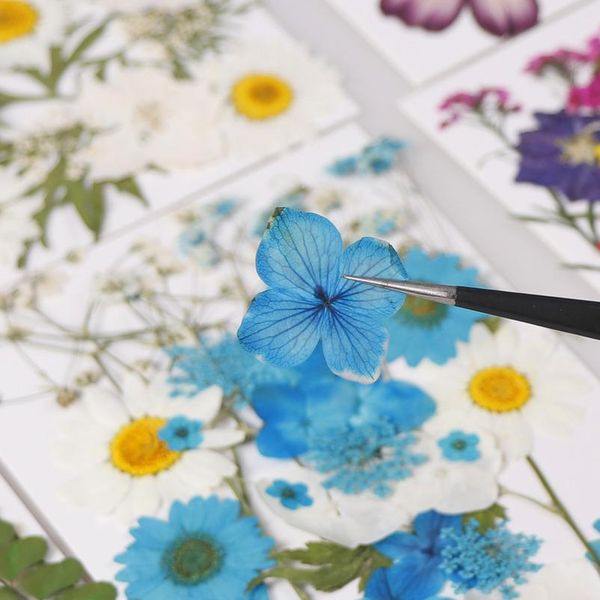 

1 bag of dried flowers uv resin decorative natural flower stickers 3d dry beauty decal epoxy mold diy filling bbystd