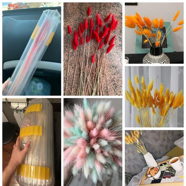 

30pcs/lot natural dried flowers rabbit tail grass bunch colorful lagurus ovatus real flower bouquet for home wedding de bbylvq
