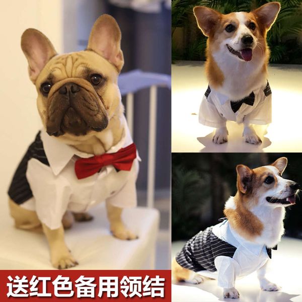 

pet dog summer thin suit shirt wedding fadou cocky cat teddy bear drs
