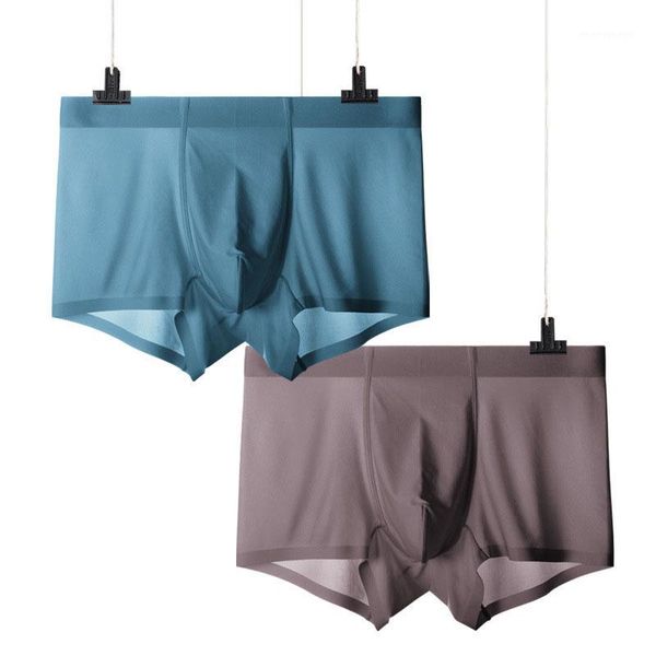 

underpants 2pieces/lot men's seamless underwear ice silk quick dry mesh boxer mens boxers1, Black;white