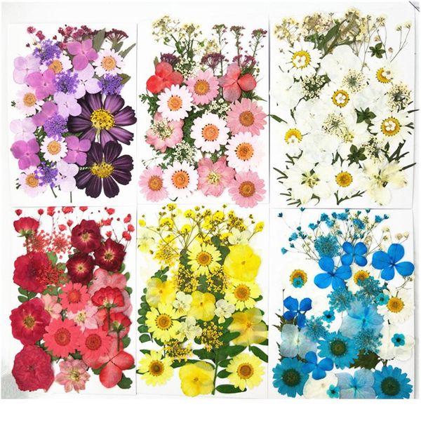 

pipifren pressed flowers small dried flowers scrapbooking dry diy preserved flower decoration home mini bloemen flor wmtjcv