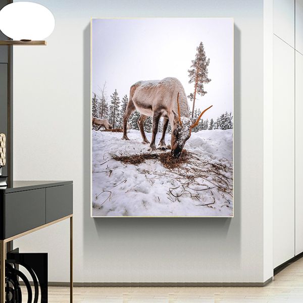 

wild animal polar goat poster canvas painting prints pictures wall art cuadros for living room decor nordic modern minimalism style