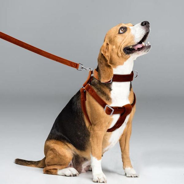 

adjustable dog collar harness leash set reflective soft puppy harness vest nylon pet collars for small medium dogs c bbyrkt