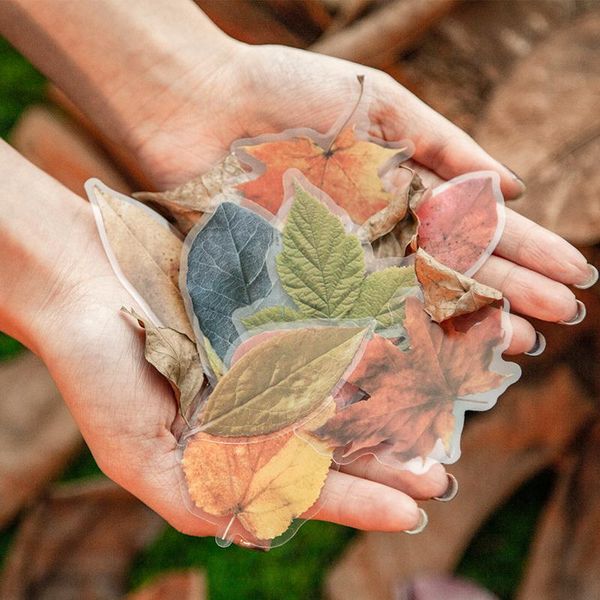 

tianzi 8 конструкций 30pcs лиственные украшения сада наклейки записках diary игрушки украшения diy канцелярские наклейки эстетика wmtidf