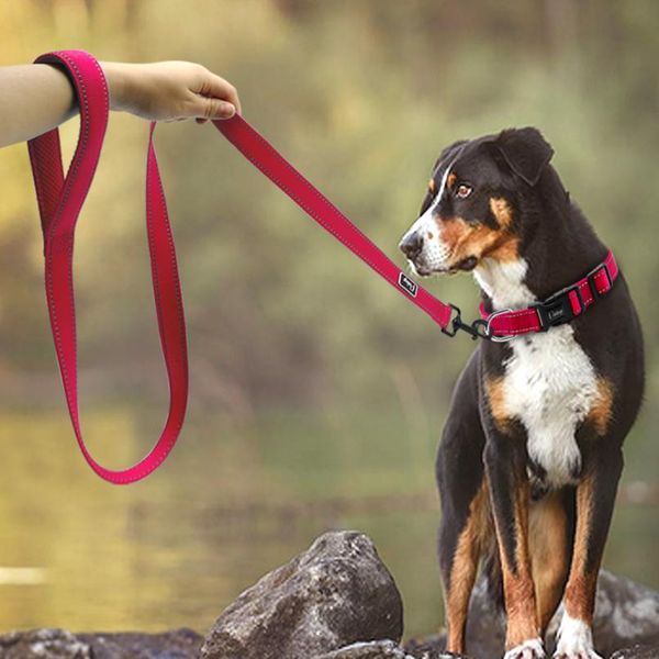 

nylon reflective dog collar and leash set adjustable walking training dog belt traction rope for medium large dogs pi wmtjdv