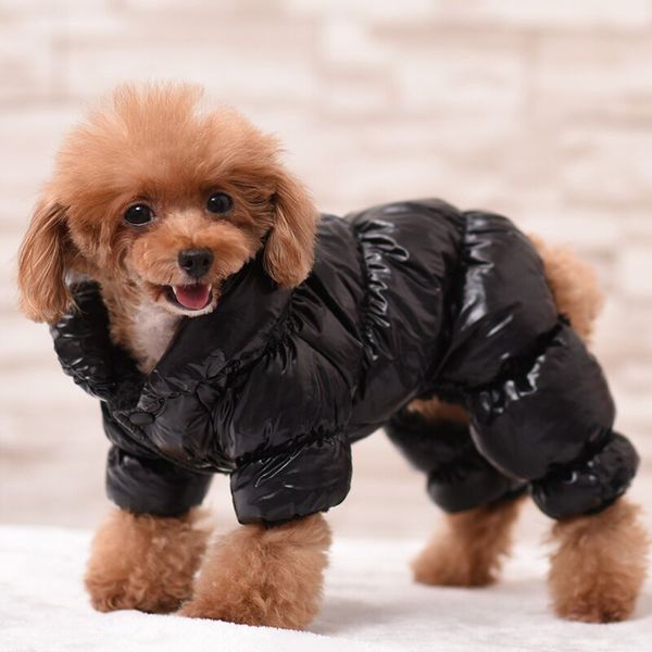 

2020 new dog clothes winter warm dog jacket down pet coat pet dog accessories