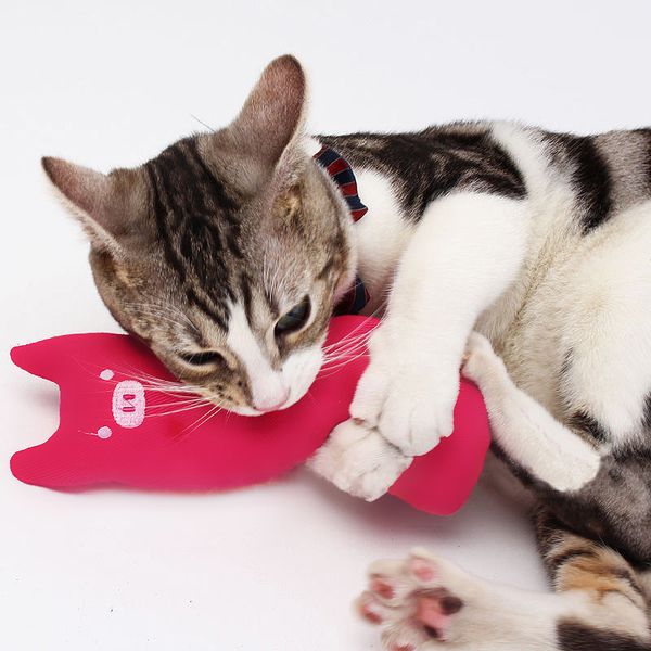 

pillow popular funny interactive catnip plush creative toy teeth grinding cute cat scratcher toys