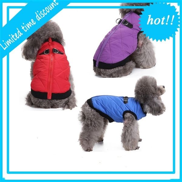 

rits winter cato clothing for small belt gesp dog vest casual jas puppy outfit chihuahua 11f40h