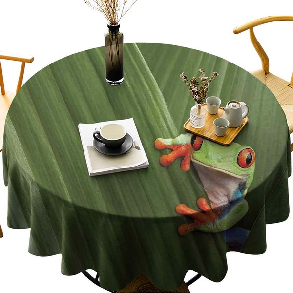 

wipreate cover cover cover с круглым столом красноглазого дерева лягушка в экзотическом макросе в коста-рика дождь тропическая тропическая п