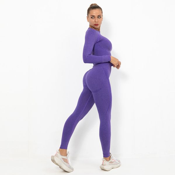 

seamless yoga women's crescent tight elastic long sleeve running fitness suit for women, Gray