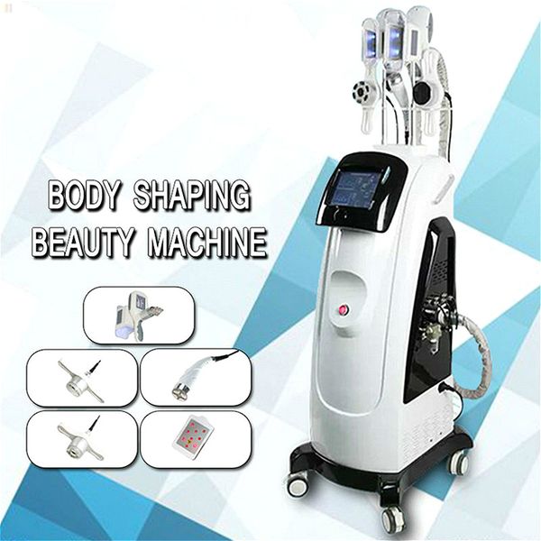 

professional cryolipolysis e fat cavitation rf fat ing cryo shape cool body sculpting body slimming machines for salon machine