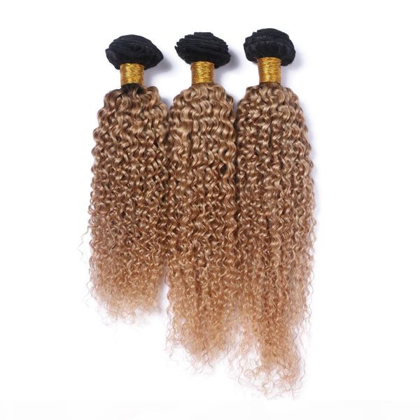 

ombre blonde human hair weave brazilian virgin hair deep curly hair extension 3 bundle two tone color t1b 27 curly bundles wholesale price, Black;brown