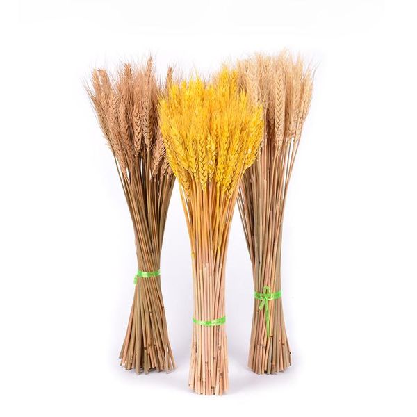 

50pcs real wheat natural dried flowers wedding party decoration craft scrapbook diy home decoration wheat bouquet pho wmtcau