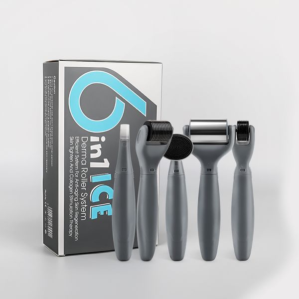 

selling new 6 in 1 microneedle derma roller titanium dermaroller micro needle facial roller skin care for skin care and body treatment