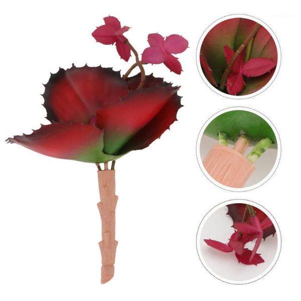 

hooks & rails 2pcs simulated succulent plant imitated potted plant1