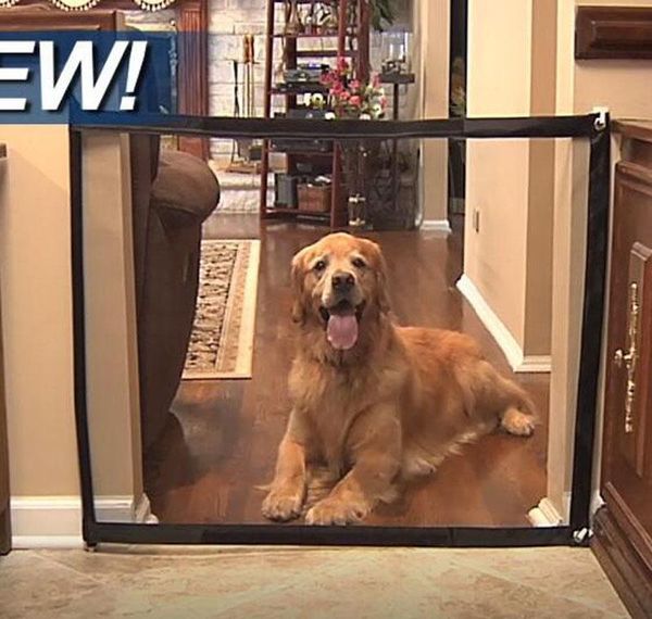 

magic-gate dog pet fences portable folding safe guard indoor and outdoor protection safety magic gate f jllamd xhhair