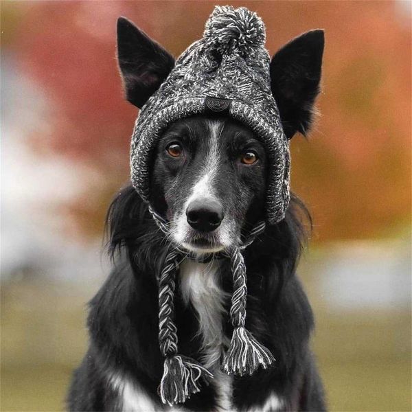 

winter dog hat ,adorable warm winter cap for dog,beanies cap with pompon crocheted snood keep their heads warm and safe #3
