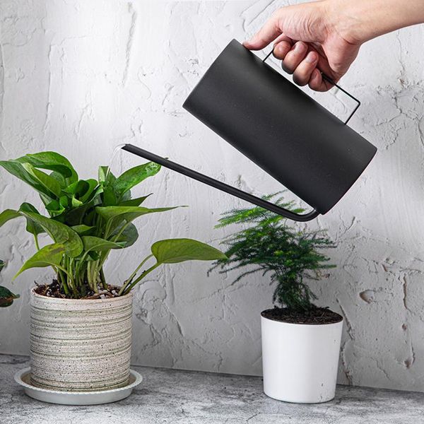 

watering equipments gardening pot potted small can & handle stainless steel succulents plants flowers shower
