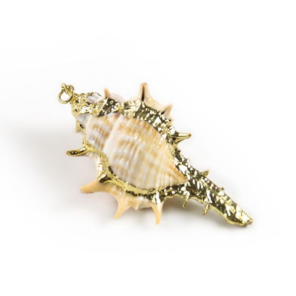 

5pcs natural conch seashell ornaments for pendant shells charms necklace pendant diy shells for jewelry making accessories h jlliqq