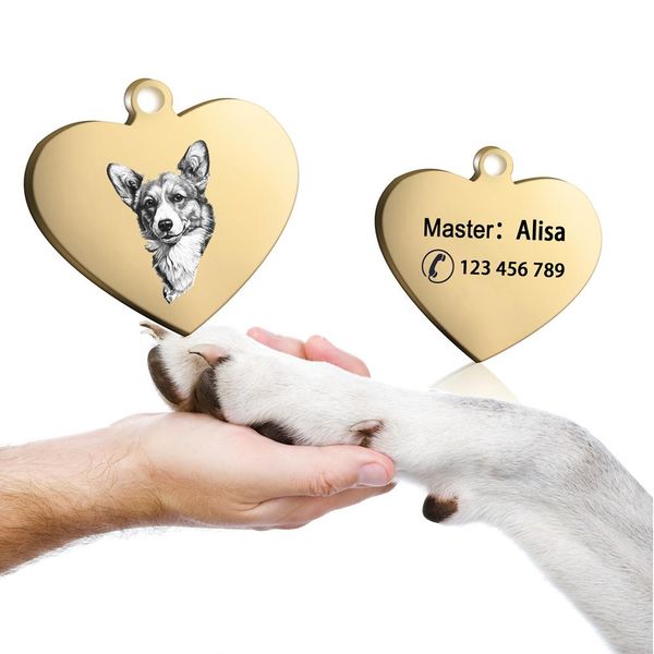 

2pcs/lot id tag set pet name pendant engraving stainless steel pet charm key pendant personalized dog cat collar accessory q wmteer