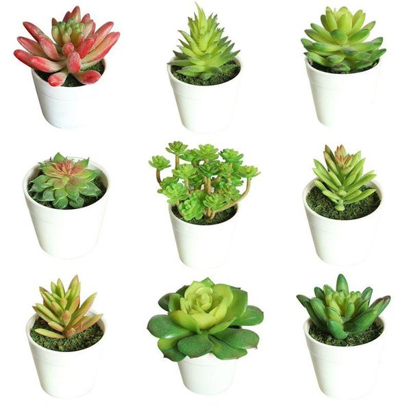 

artificial succulent plant mini-sized ornament fake succulent potted cactus plants with plastic pot for home office decoration
