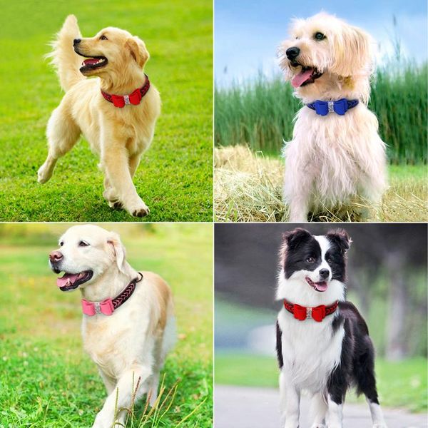 

bling rhinstone dog collar bowknot padded leather puppy cat pet collars braided for small medium dogs chihuahua yorkie sqcuvr