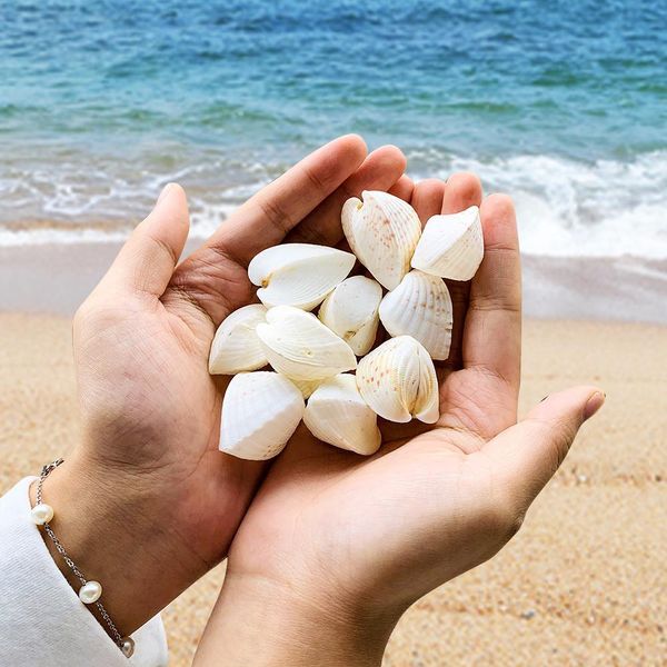 

2pcs 3 5cm chicken heart clam natural shell lover seashell beach wedding decor starfish aquarium nautical decor collectibles h wmtydo