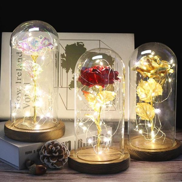 

rose, rose in glass dome, belle rose, enchanted infinity preserved rose