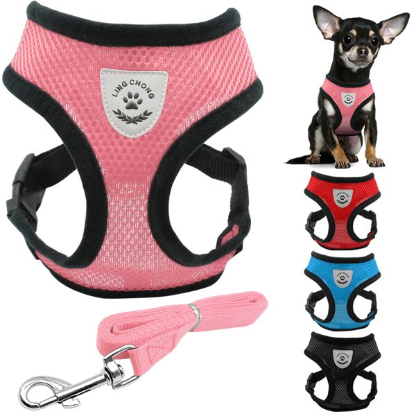 

soft breathable nylon puppies harness and belt assembly for cats