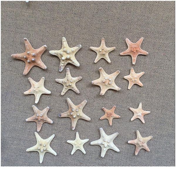 

20pcs/set sea star star fish animal shell beach ornament for aquarium weddings party diy home decoration craft 3-4cm jllmkf