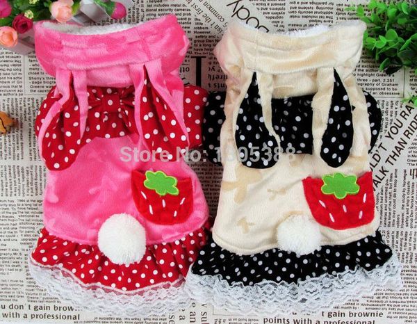 

dog apparel strawberry style pet dogs soft velvet coat by cpam clothing