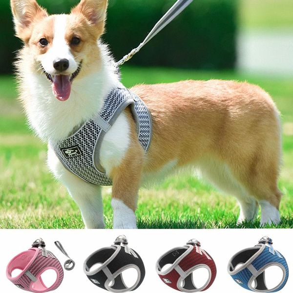 

dog collars & leashes soft adjustable harness pet large walk out vest for medium chest strap cat pets accessories