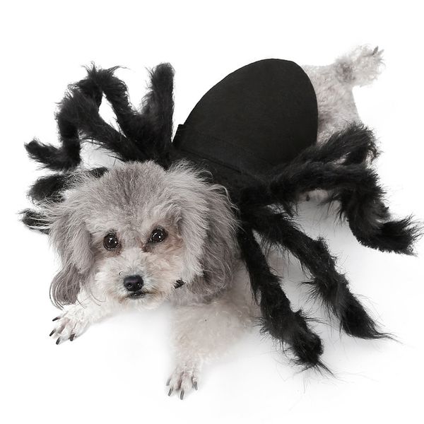 Halloween Pet Dog Одежда плюшевая паук одеваются для маленьких собак кошек косплей смешные вечеринки щенок костюма для чихуахуа йорки 201118