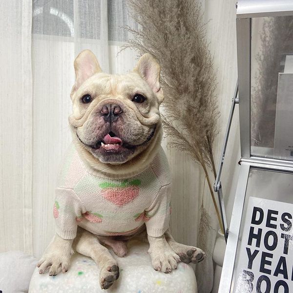 

cute peach dog sweater dog's clothes