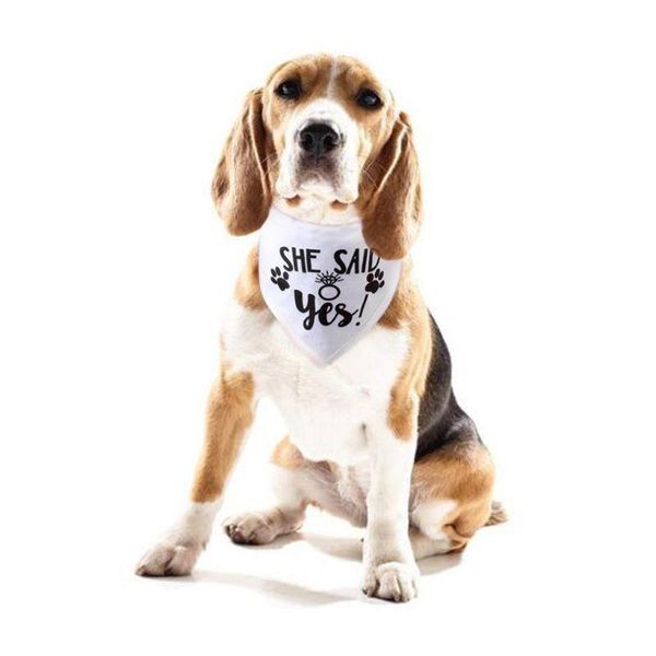 

dog apparel wedding bandana married engagement pet triangle bibs scarf neckerchief po drop